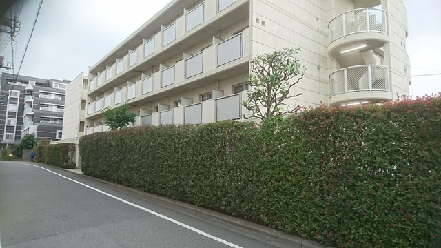 【事例紹介】生垣の剪定